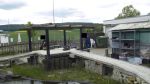 SDC18233kl.jpg